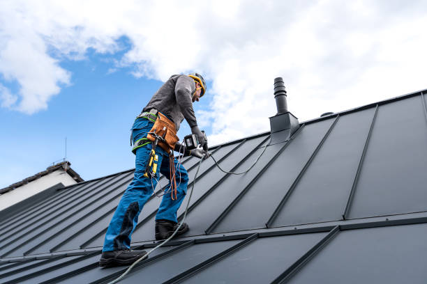 Best Roof Moss and Algae Removal  in Peebles, OH